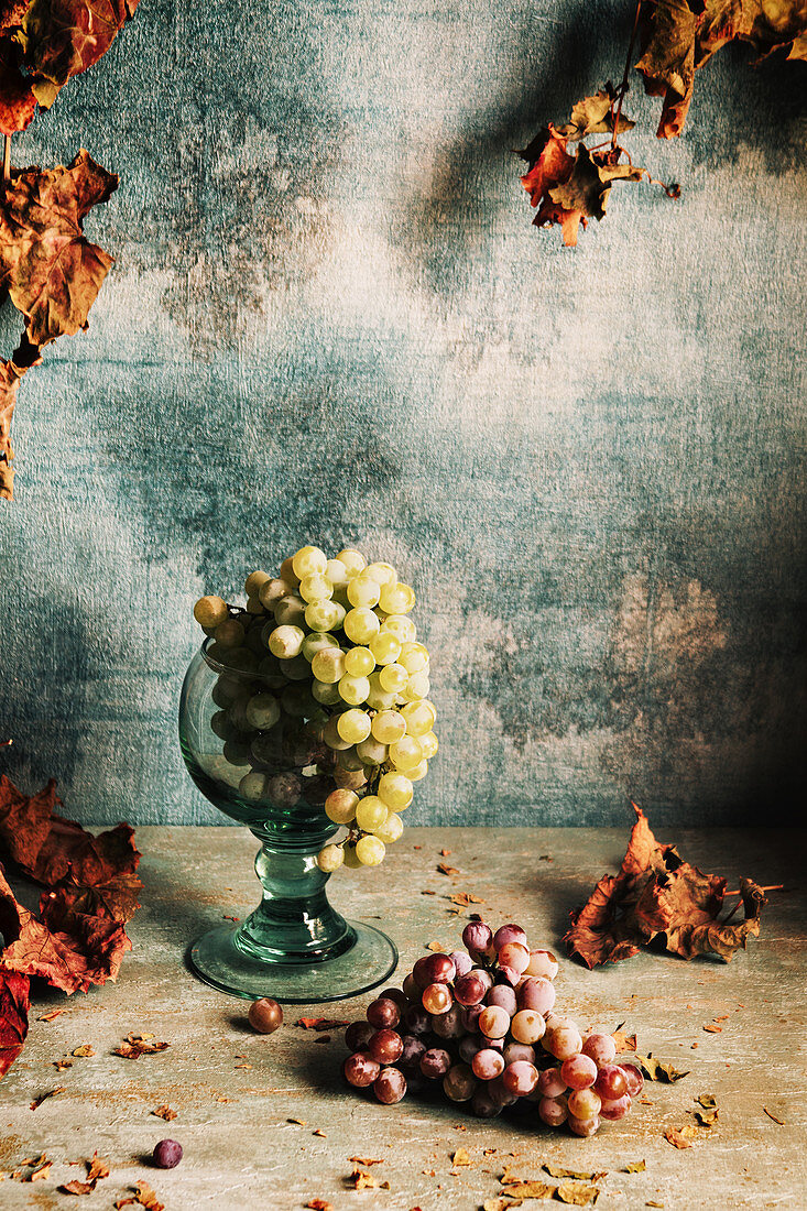 Still life with grapes and autumn leaves