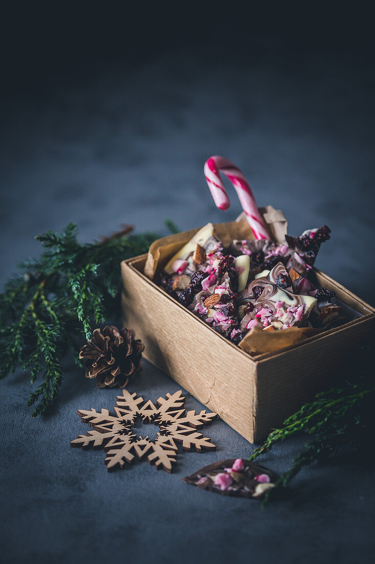 A candy cane and broken chocolate for Christmas