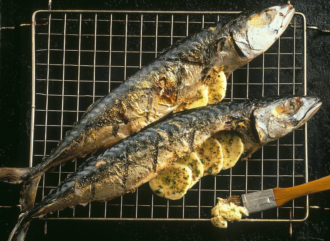 Grilled mackerel with butter on grill rack