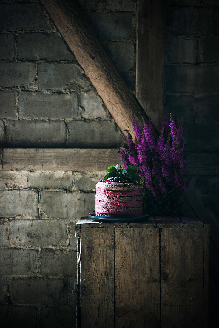 Vegan chocolate and redcurrant cream cake