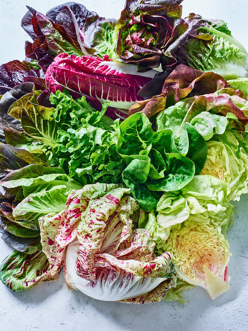 Various types of leafy lettuce