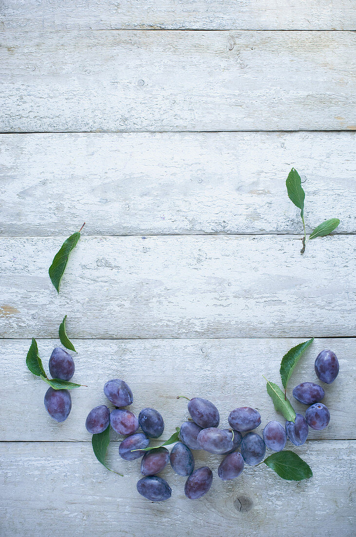 Damsons with leaves on a rustic white wooden surface