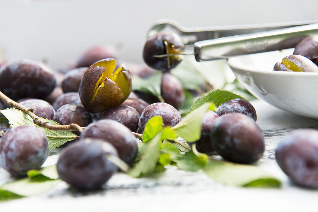 Damsons with leaves and a destoner