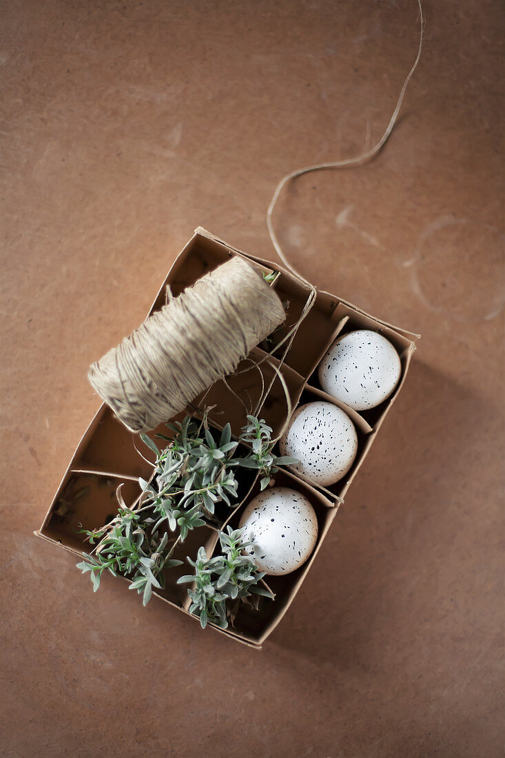 Speckled eggs, chickweed and twin in egg box