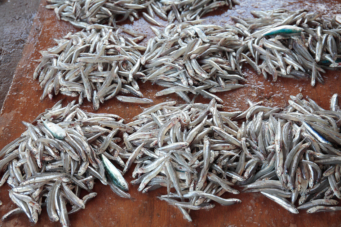Piles of fish in market