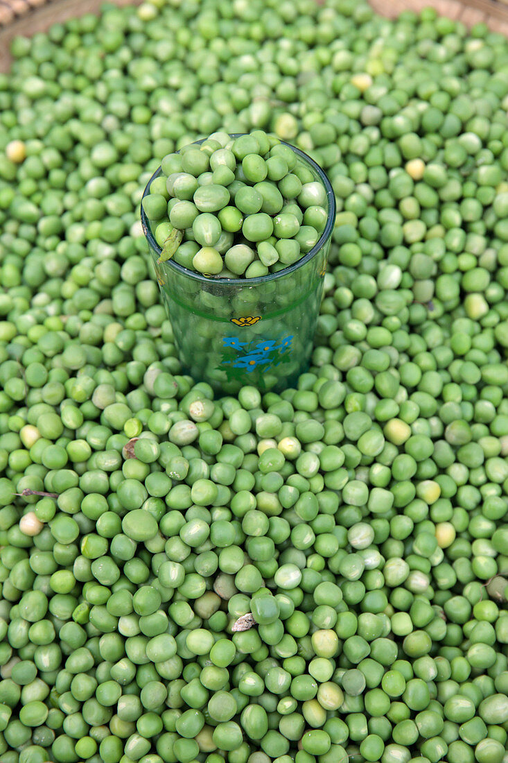 Fresh peas in market