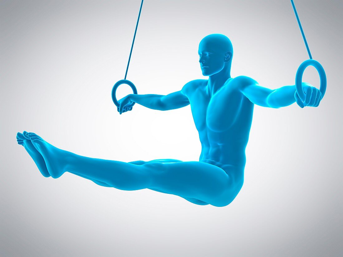 Athlete using gymnastic rings, illustration