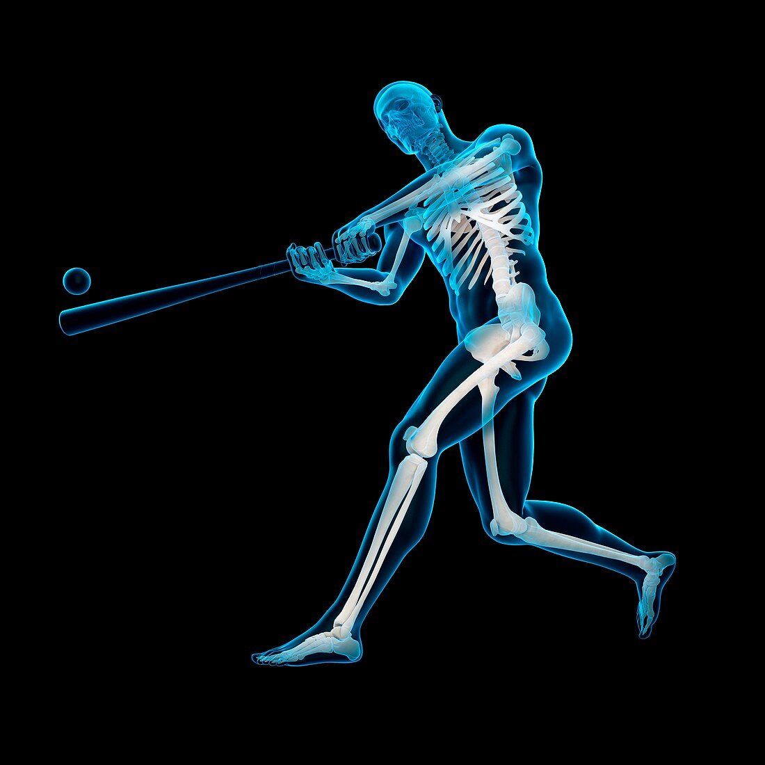 Baseball player, illustration