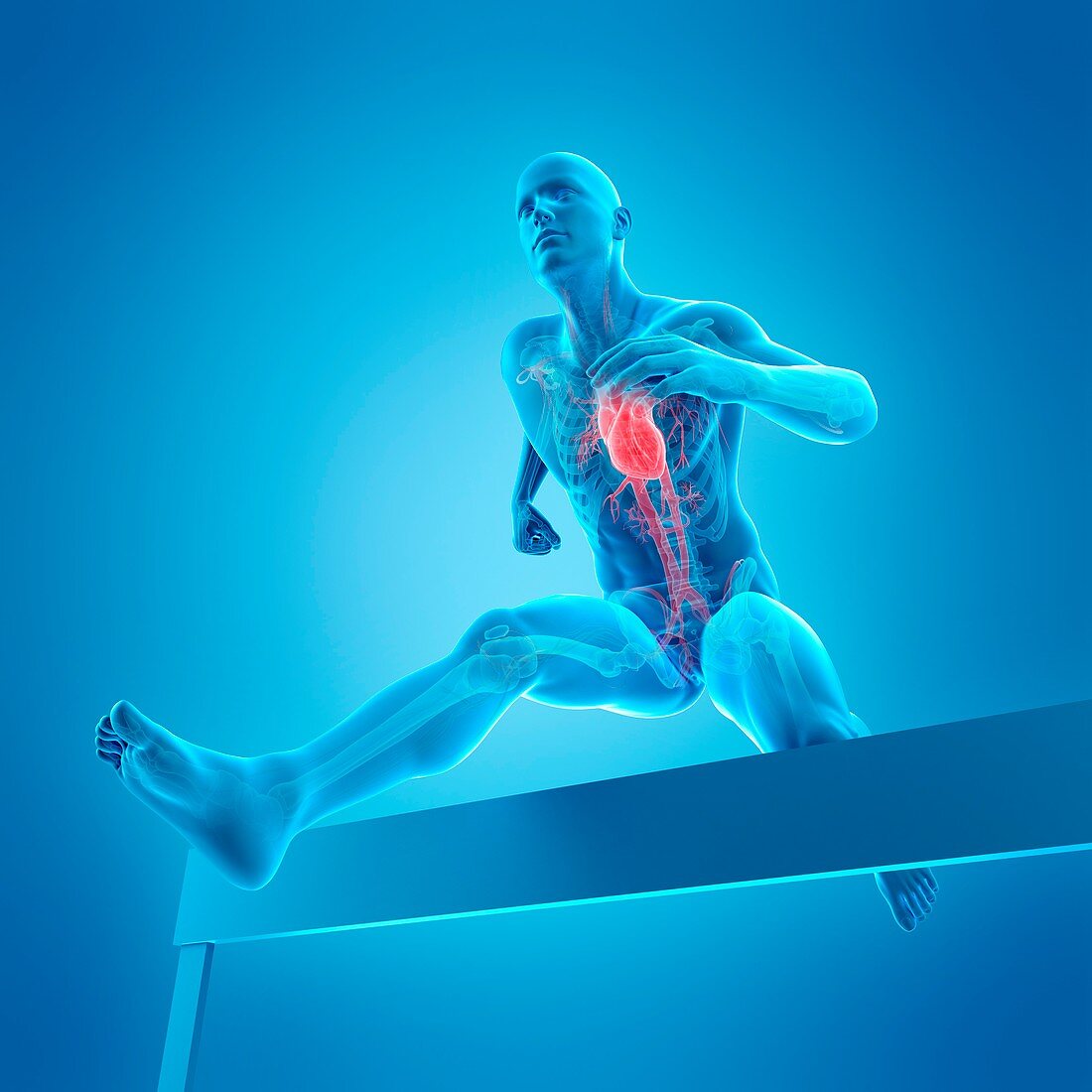 Athlete hurdling over hurdle, illustration
