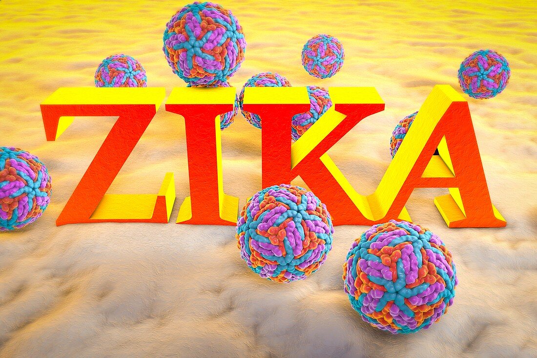 Zika viruses and inscription 'Zika', illustration