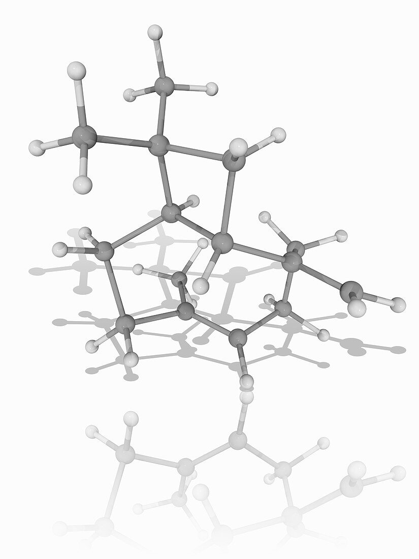 Caryophyllene organic compound molecule