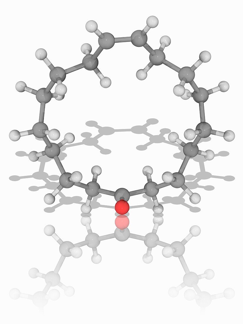Civetone organic compound molecule