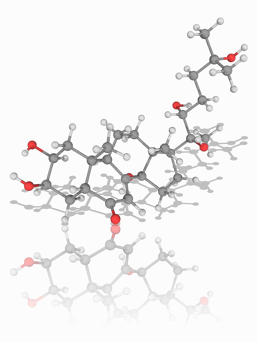 Ecdysterone organic compound molecule