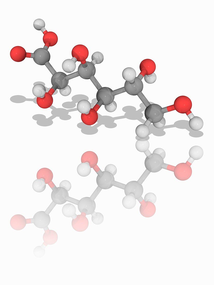 Gluconic acid organic compound molecule