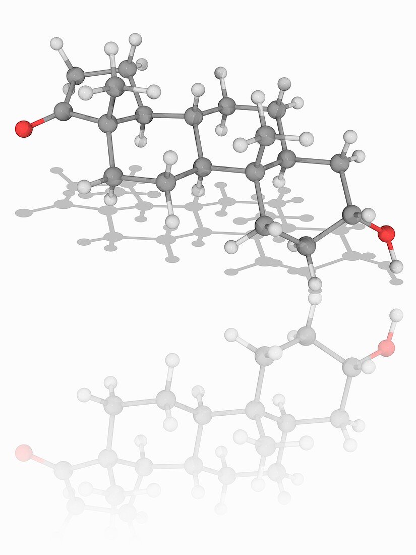 Androsterone hormone molecule