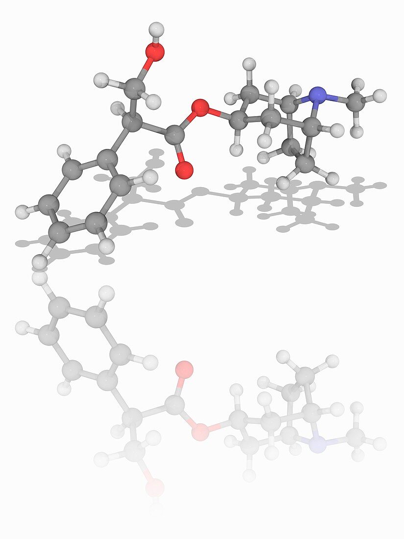 Atropine drug molecule