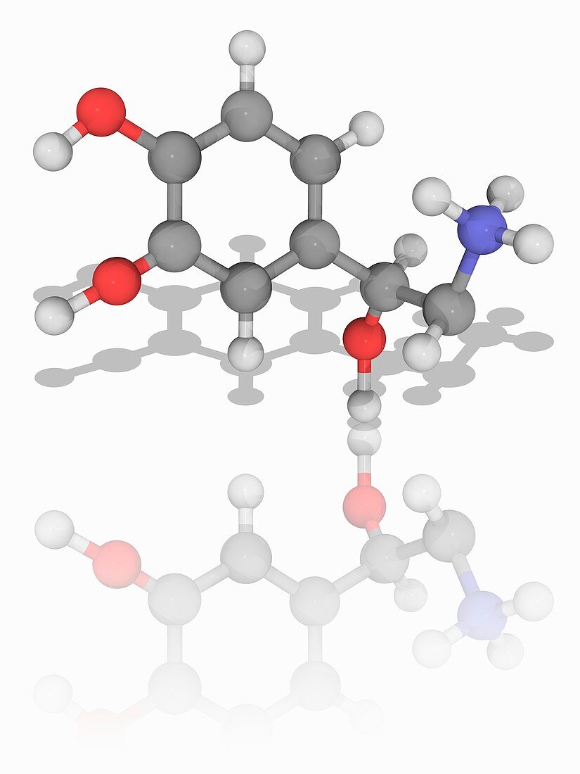 Norepinephrine organic compound molecule