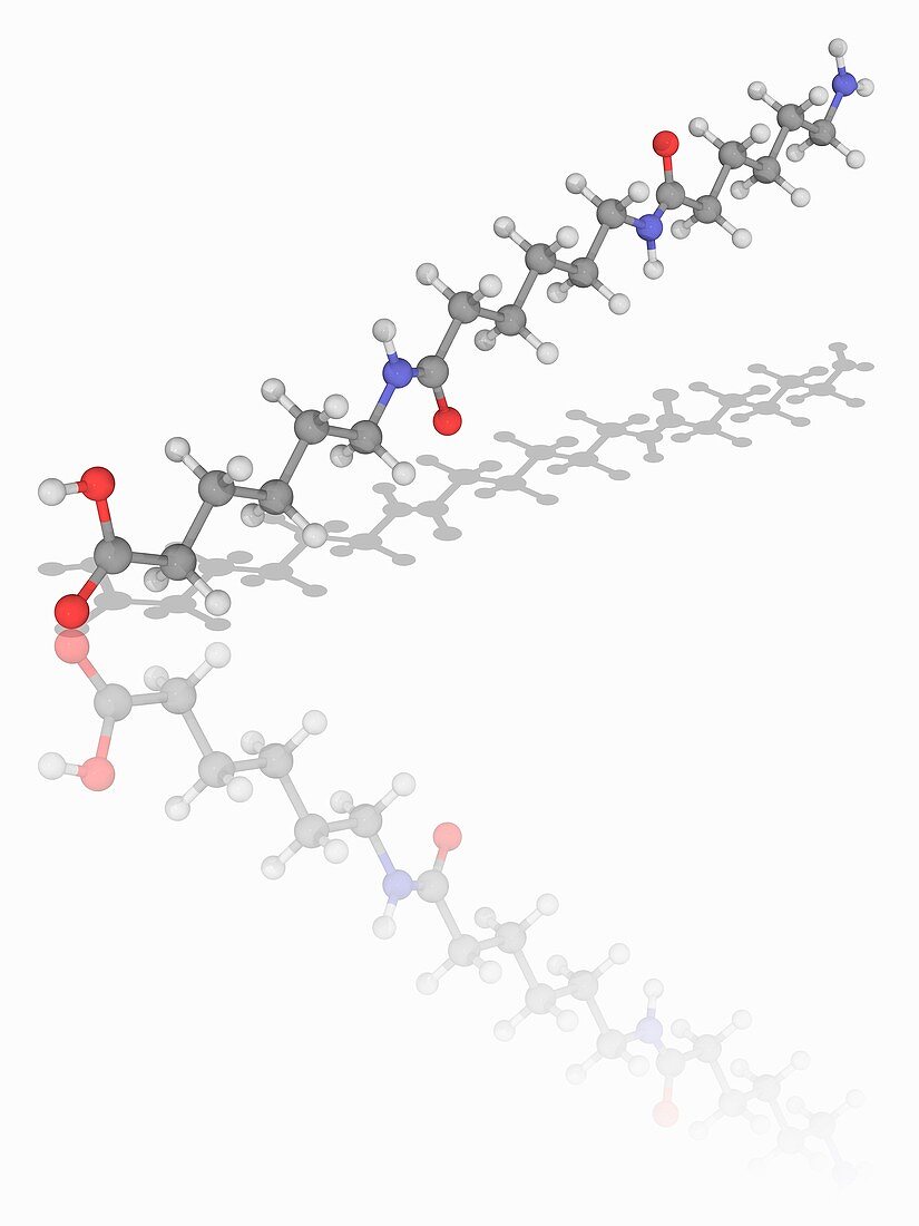 Nylon 6 polymer molecule