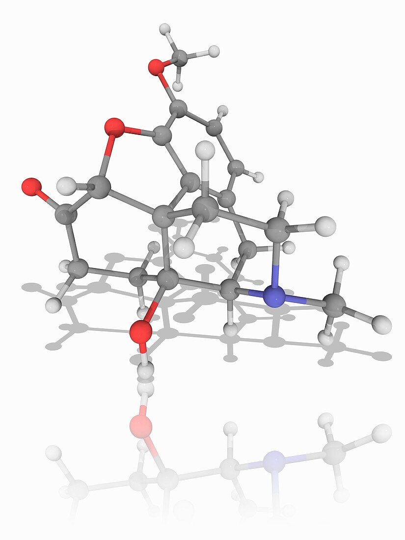 Oxycodone drug molecule