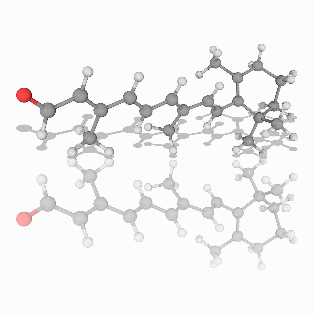 Retinal (vitamin A) organic compound