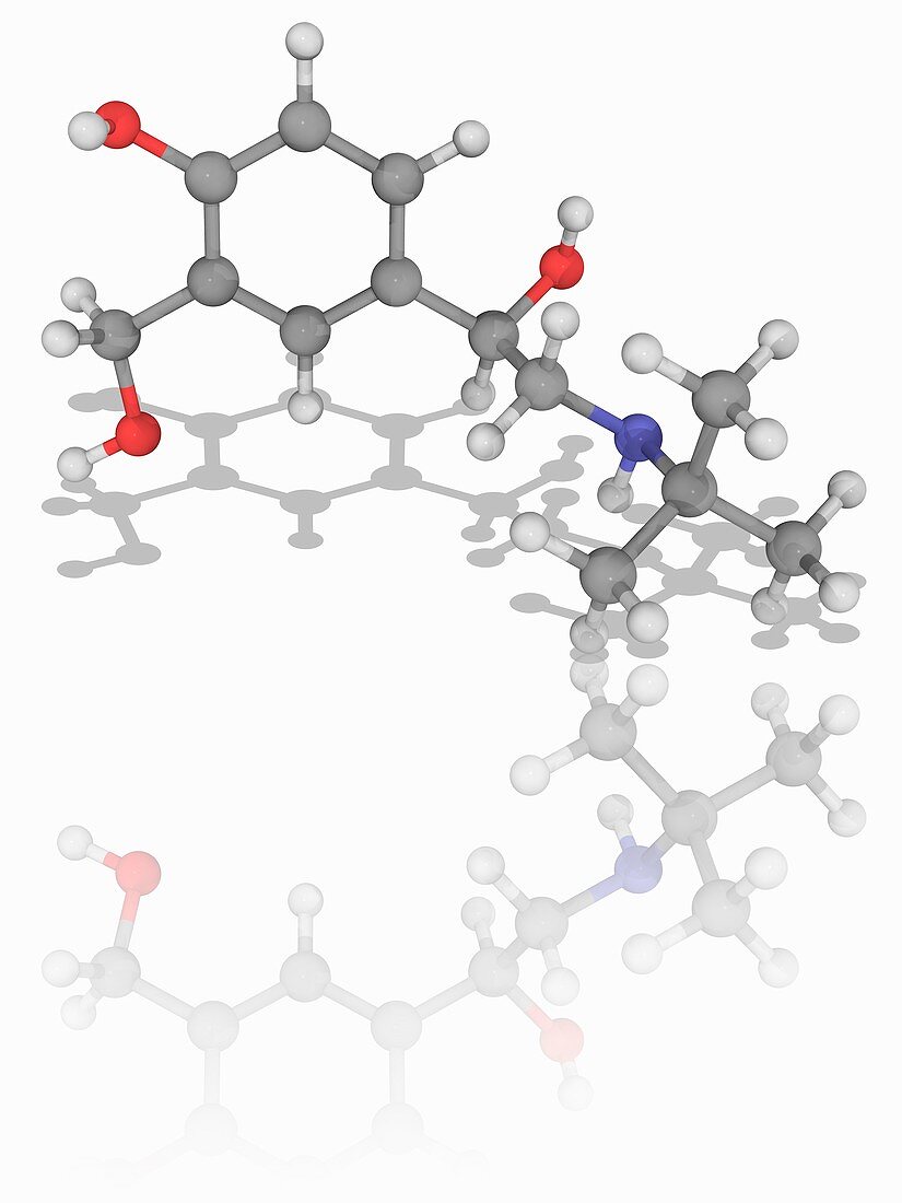 Salbutamol drug molecule