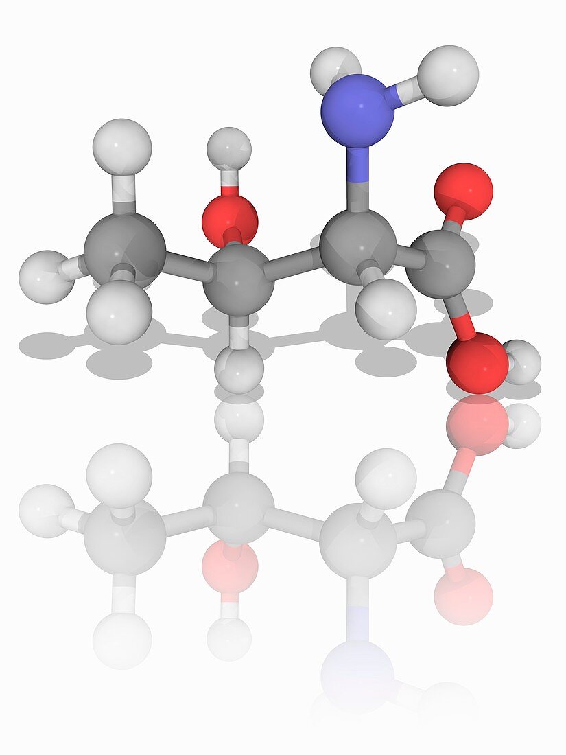 Threonine organic compound molecule