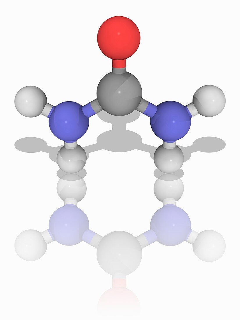Urea organic compound molecule