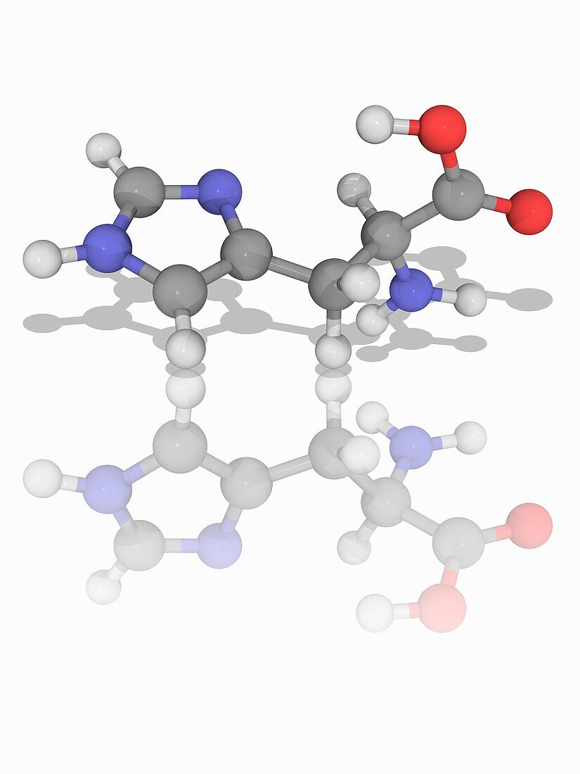 Histidine organic compound molecule