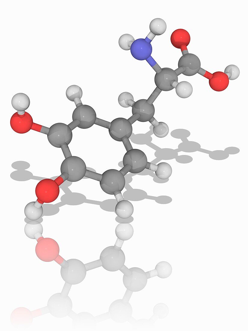 Levodopa (L-DOPA) drug molecule