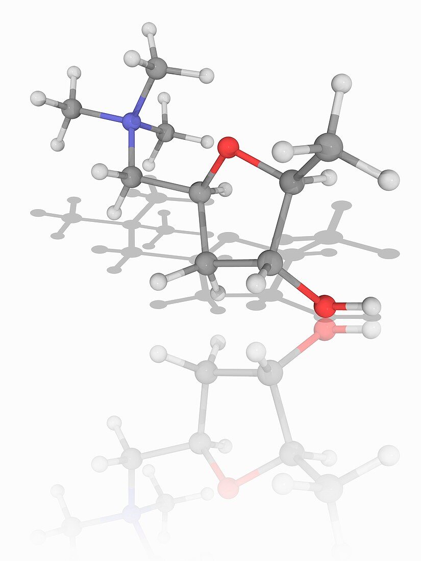 Muscarine organic compound molecule