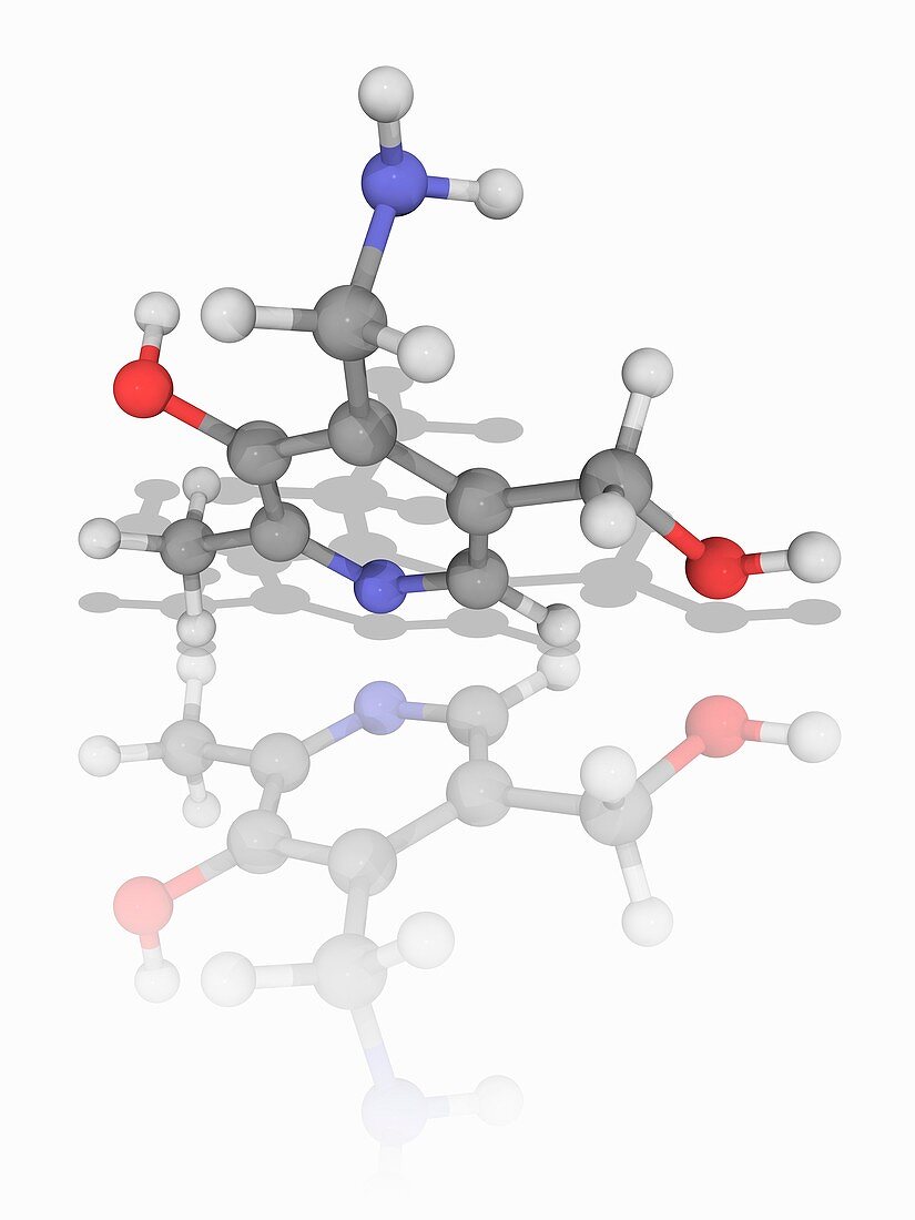 Vitamin B6 (pyridoxamine) molecule