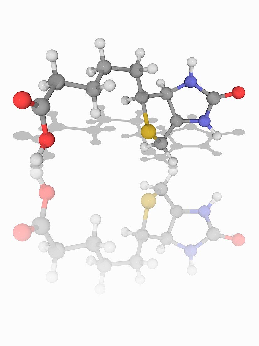 Vitamin B7 (biotin) organic compound molecule
