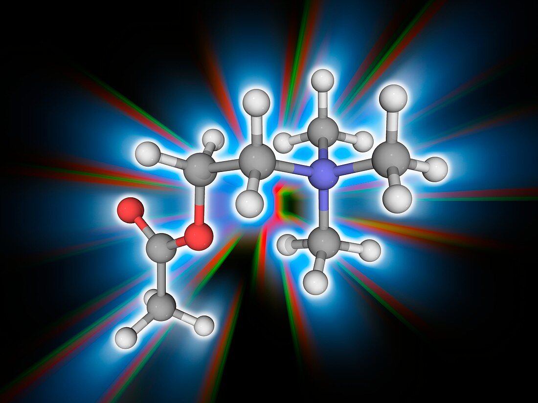 Acetylcholine organic compound molecule