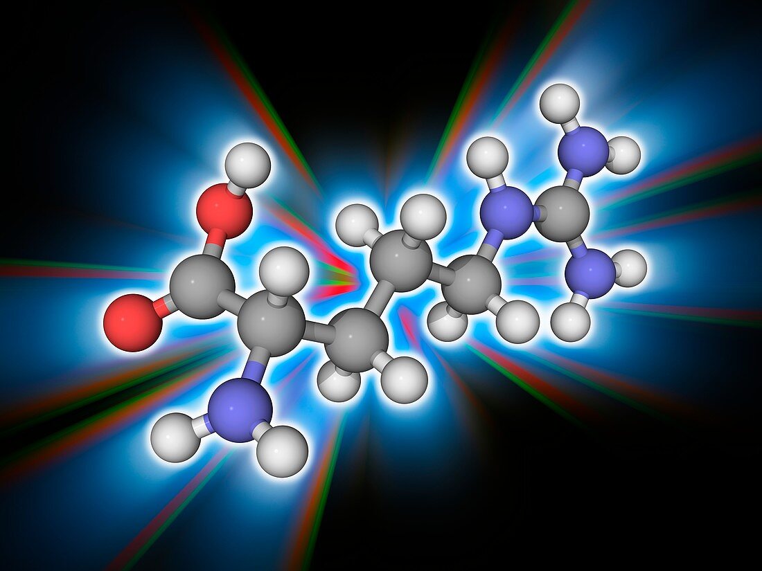 Arginine organic compound molecule