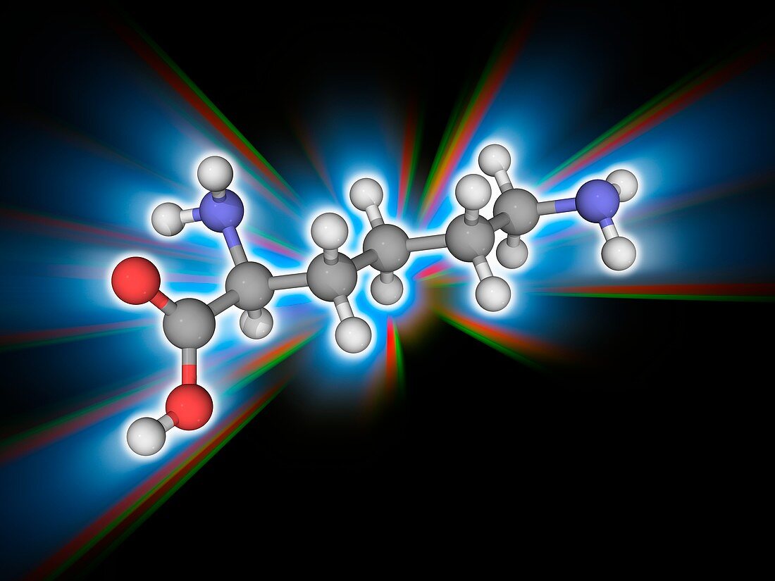 Lysine organic compound molecule