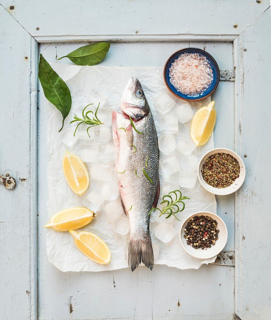 Fresh uncooked Mediterranean seabass fish with lemon, herbs, ice and spices on rustic blue wooden board