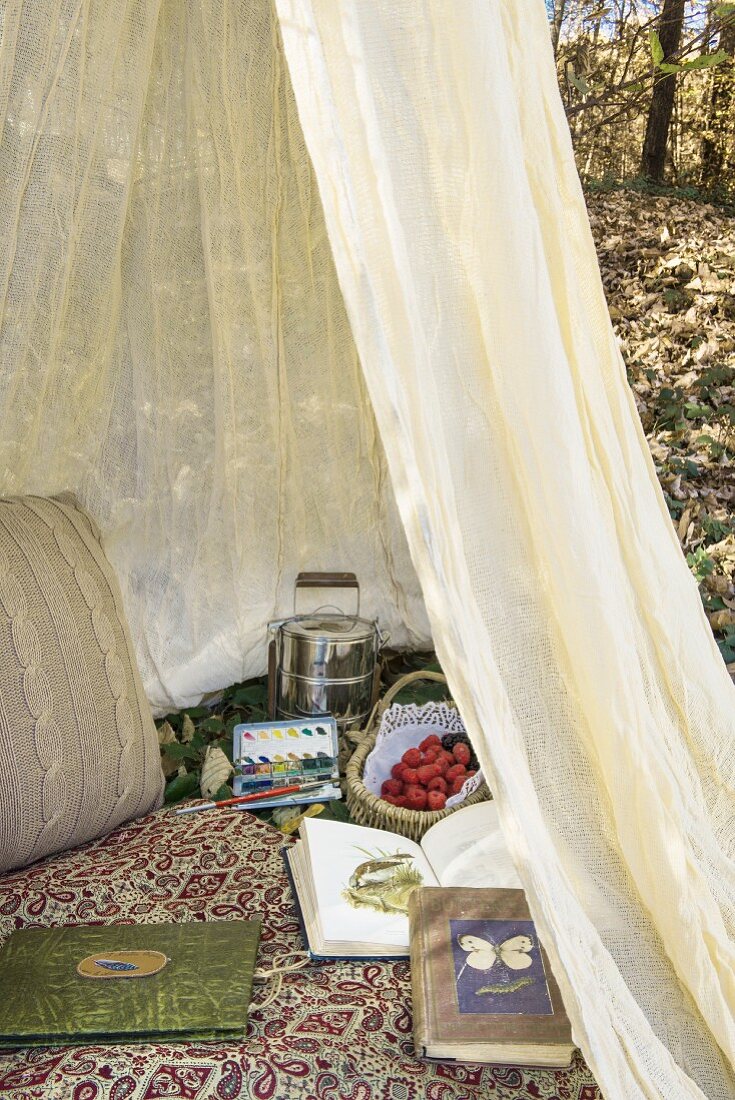 Mosquito net, food, books and watercolour painting box