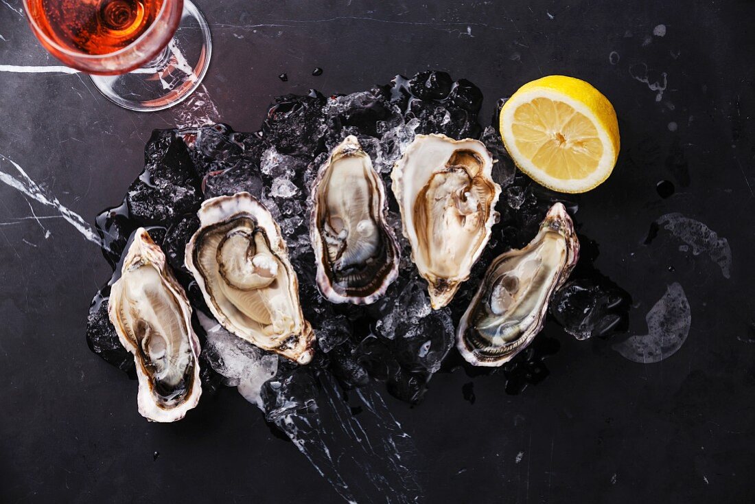 Opened Oysters on dark marble background with ice, lemon and rose wine