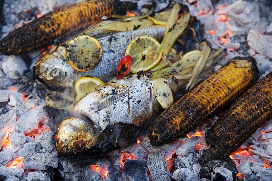 Fisch und Maiskolben auf glühender Holzkohle
