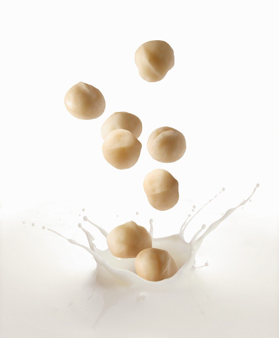 Macadamia nuts falling into macadamia nut milk