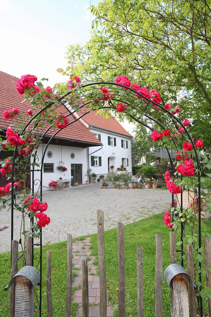 Blick durch einen Rosenbogen über den Hof auf ein Bauernhaus