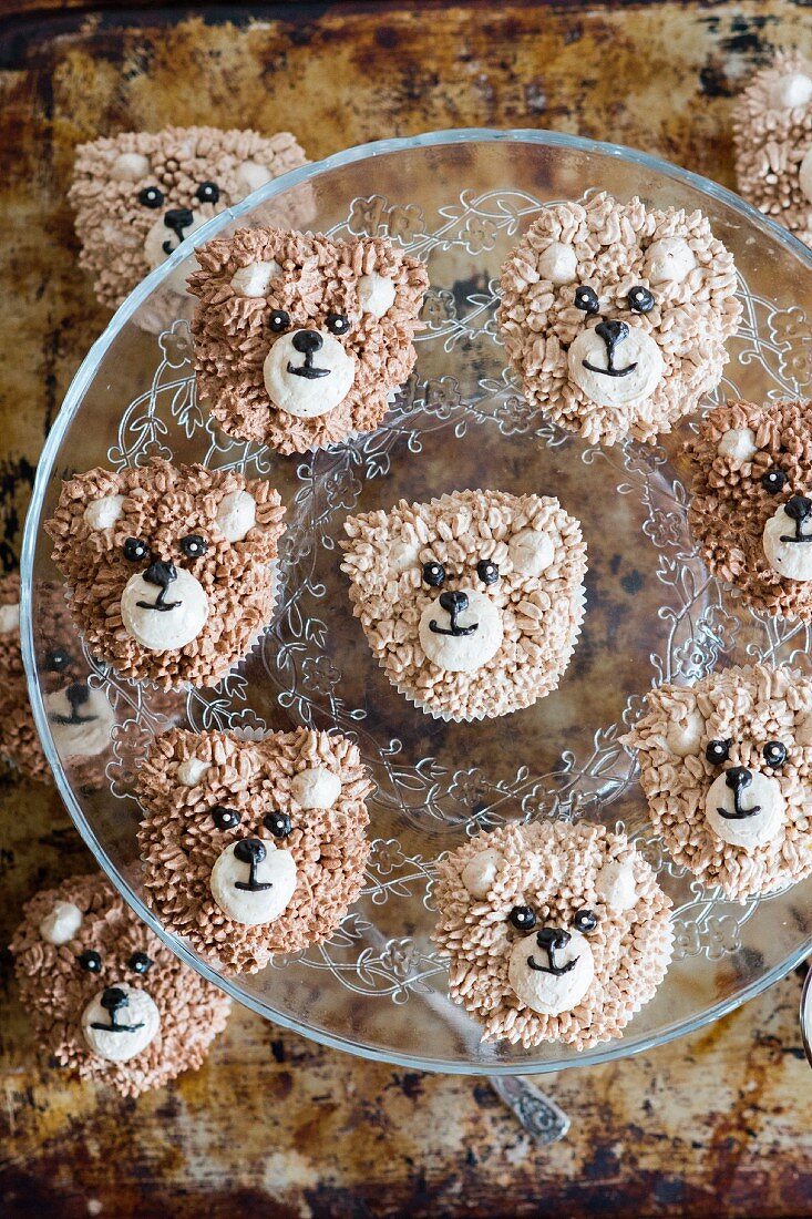 Bear head cupcakes