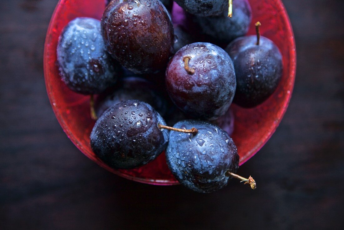 Garden plum in a red container