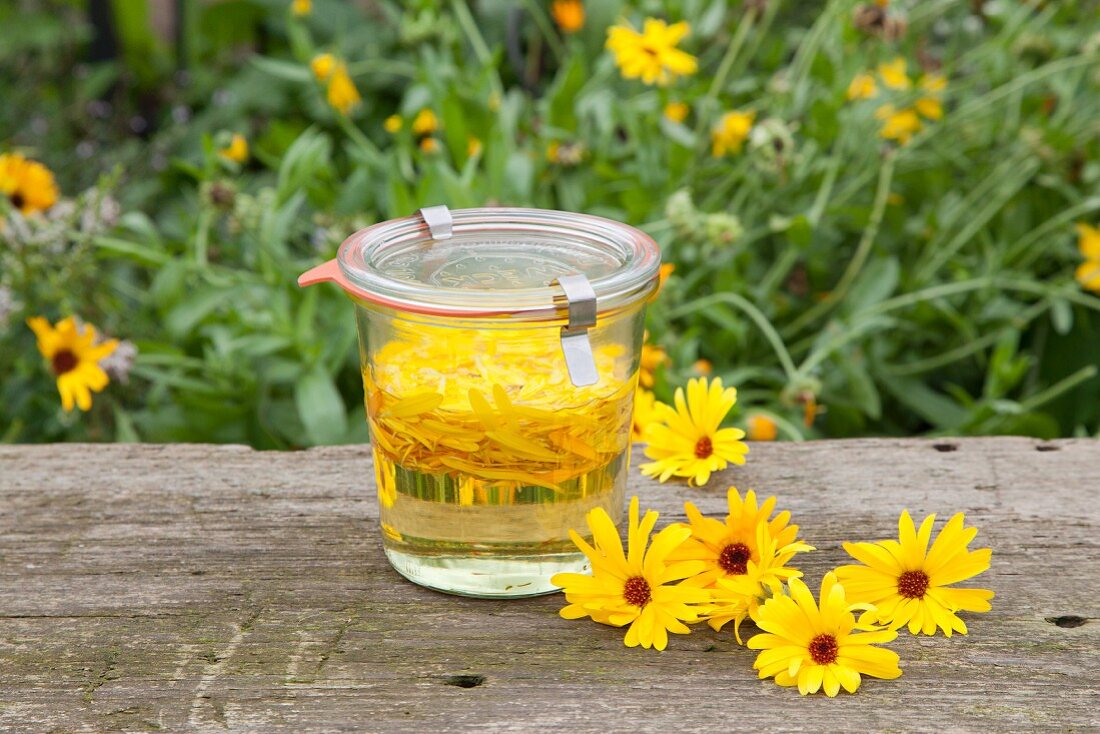 Homemade marigold oil in a jar