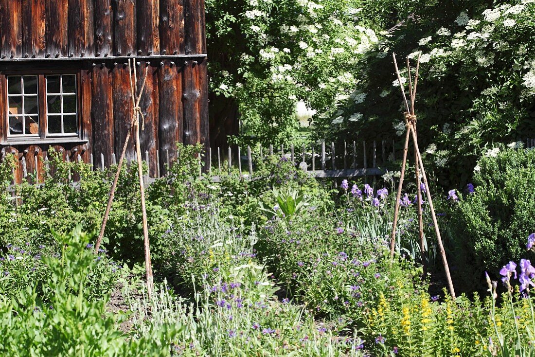 Herb garden outside farmhouse