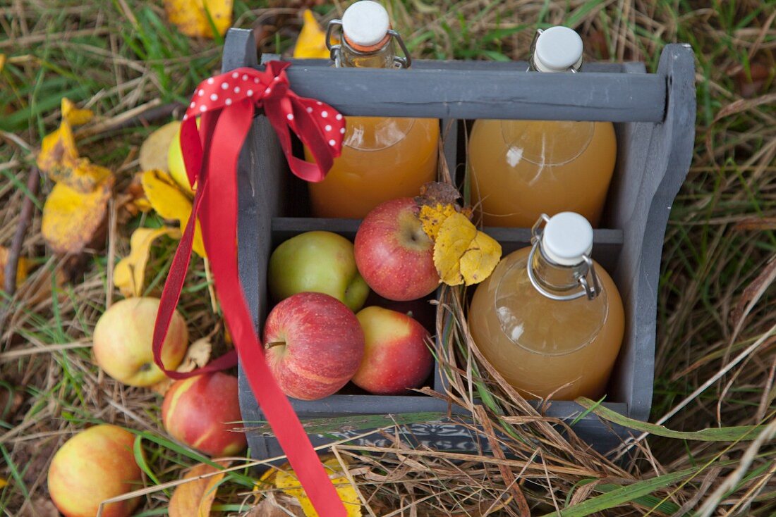 Selbstgemachter Apfelsaft und frische Äpfel im Flaschenträger