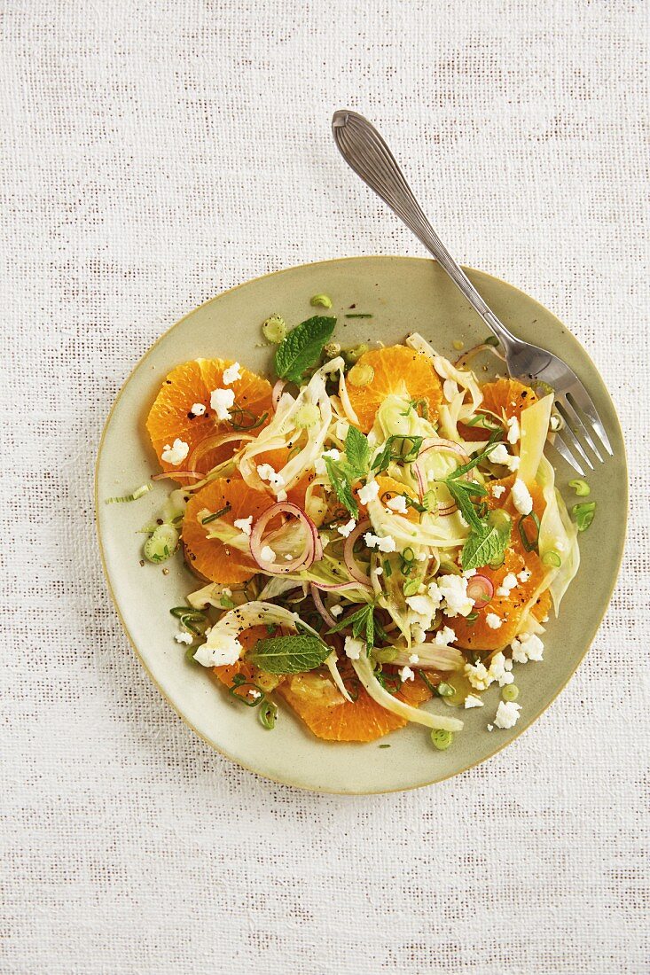 Zwiebel-Orangen-Salat mit Fenchel und frischer Minze