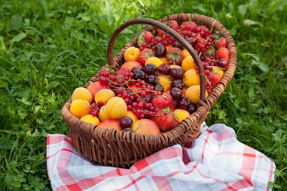Various summer fruits in a basket