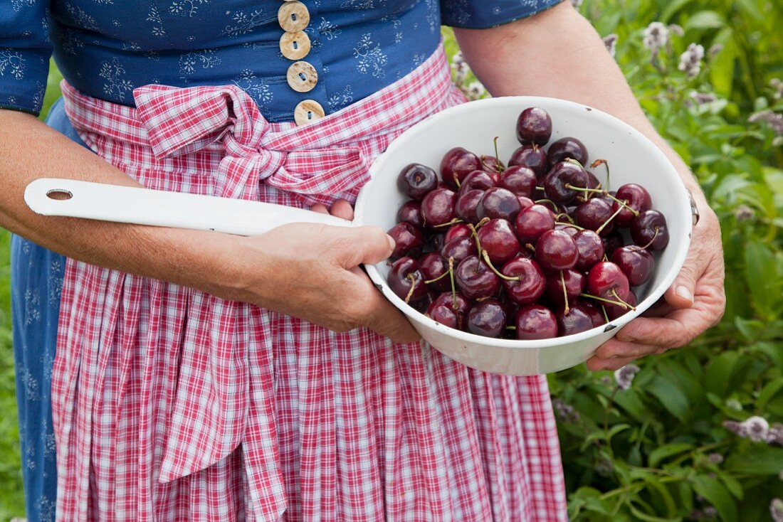 A country woman holding a sieve with fresh cherries