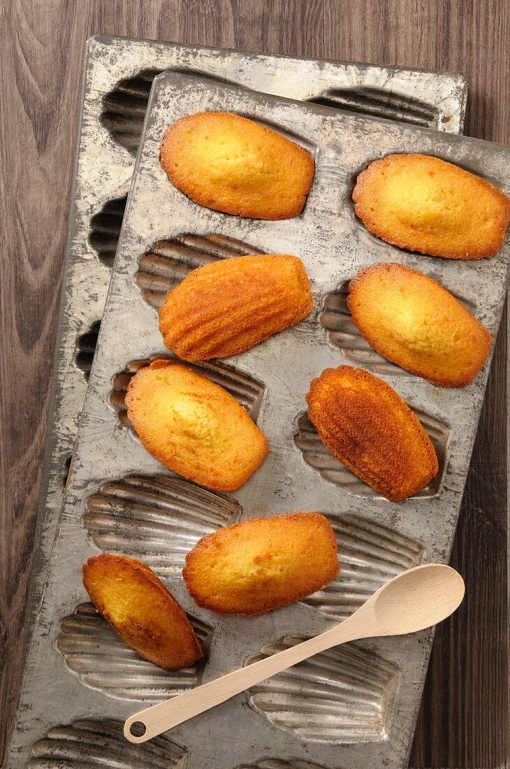 Selbstgebackene Madeleines